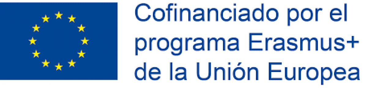 Logo cofinanciacin UE